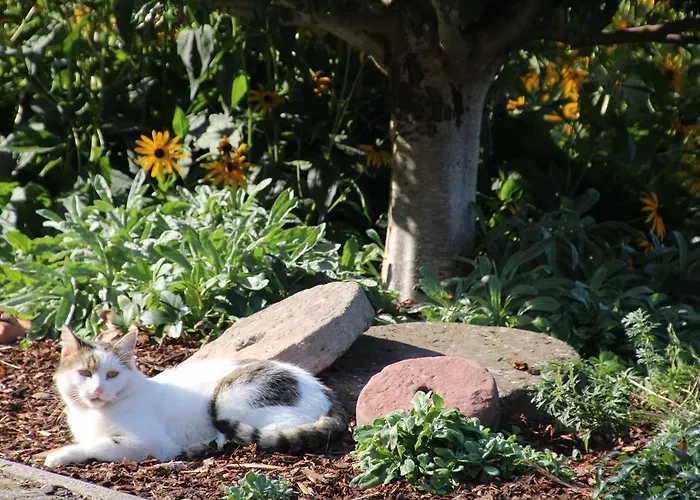 Graf Apartamento Lauf